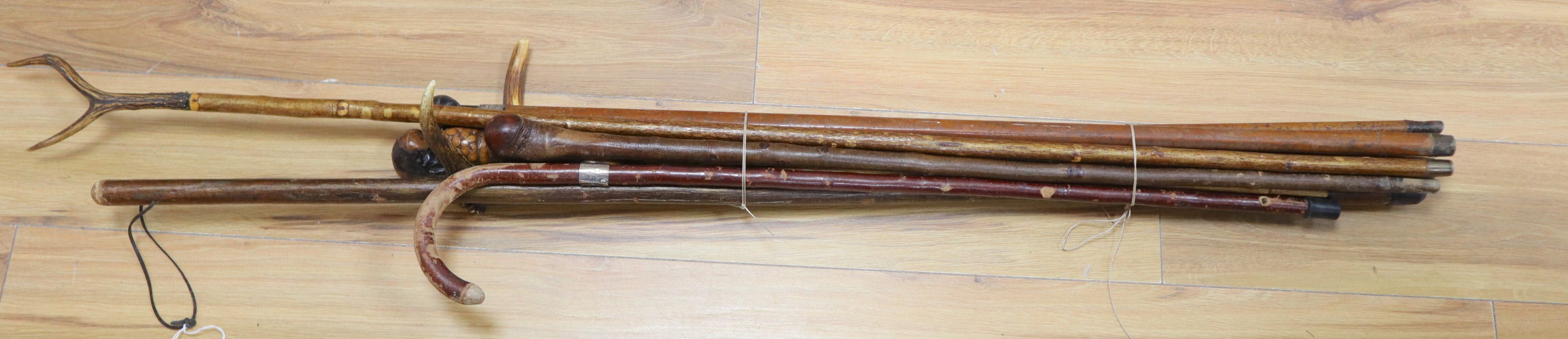 A group of walking sticks, one with silver collar and two with white metal collars